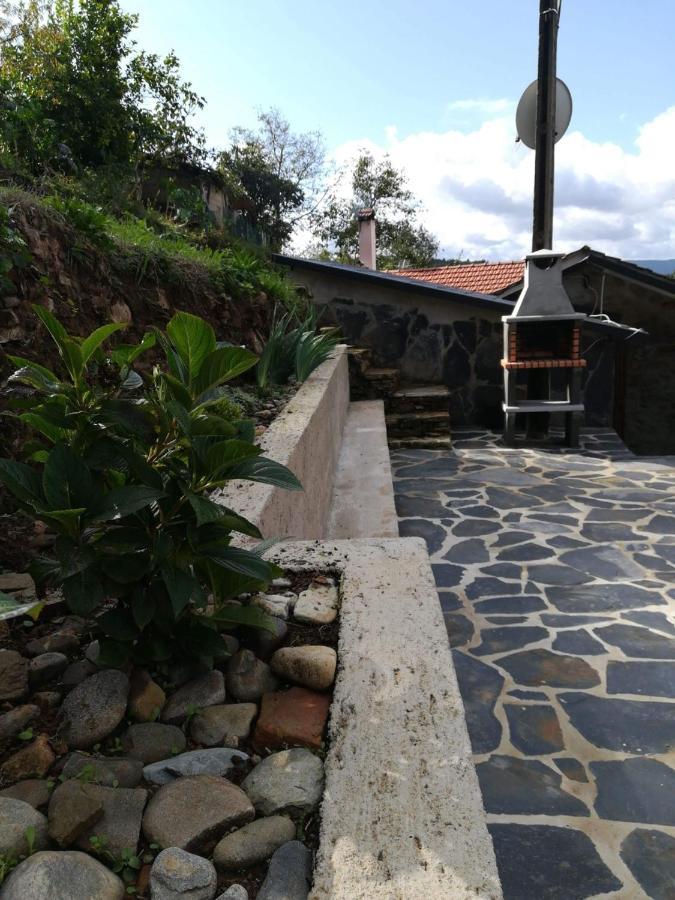 فيلا الفارينغافي Casa D'Aldeia المظهر الخارجي الصورة